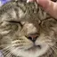 ぃのプロフィール画像