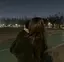 Raのプロフィール画像