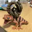 ponnuのプロフィール画像