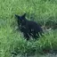 tomokaのプロフィール画像