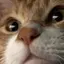 hanaのプロフィール画像