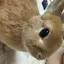 yuのプロフィール画像