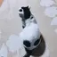 みさごりちゃんのプロフィール画像