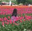 imyのプロフィール画像