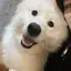 ぷにのプロフィール画像