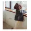 marbleのプロフィール画像