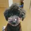 ゆきんこのプロフィール画像