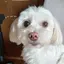 れのプロフィール画像