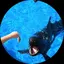 shoのプロフィール画像