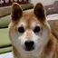 もものプロフィール画像