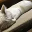 悠華のプロフィール画像