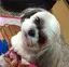 あずさのプロフィール画像
