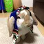 noayumiのプロフィール画像