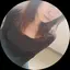 A.Iのプロフィール画像