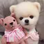 さくらのプロフィール画像