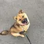 mimiのプロフィール画像