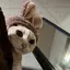 まーのプロフィール画像