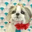 るんのプロフィール画像