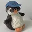 ぽよちのプロフィール画像