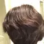 ひよののプロフィール画像