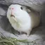 nanaのプロフィール画像