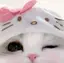 みくのプロフィール画像