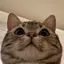 なーのプロフィール画像