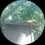やよいのプロフィール画像