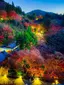 yuのプロフィール画像