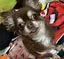 恵里のプロフィール画像