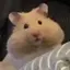 naのプロフィール画像