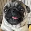 おゆんのプロフィール画像