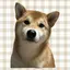 ふみののプロフィール画像
