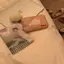🌙のプロフィール画像