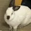 のあのプロフィール画像
