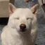 すんすんのプロフィール画像