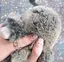 iksatoのプロフィール画像