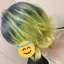 れなみんのプロフィール画像
