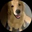 あつこのプロフィール画像