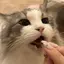 ❤︎えん❤︎のプロフィール画像