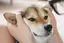 dogのプロフィール画像