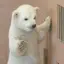 ごまさんのプロフィール画像