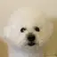 るのプロフィール画像