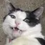 はいみちゃんのプロフィール画像