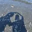 あこのプロフィール画像