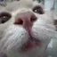 むーのプロフィール画像