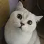 雅雯のプロフィール画像