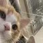 美咲のプロフィール画像