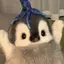 ynのプロフィール画像