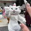 Rihoのプロフィール画像